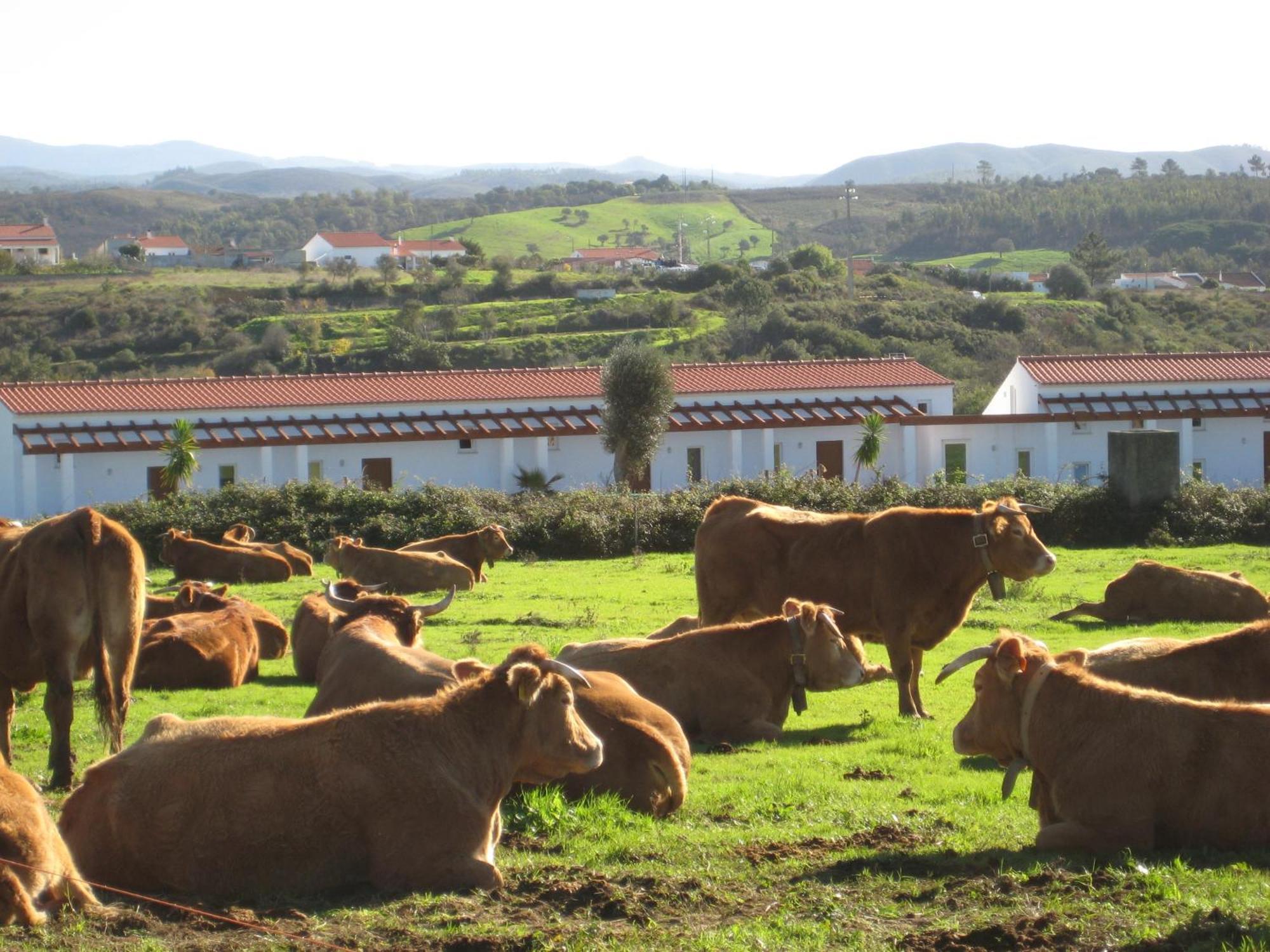 Ferienwohnung Quinta De Moledos Aljezur Exterior foto